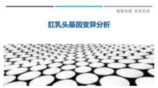 肛乳頭基因變異分析最佳分析