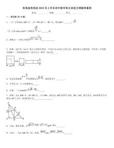 青海省貴南縣2025年上半年初中數學單元測驗王牌題庫最新