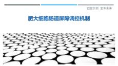 肥大細胞腸道屏障調控機制最佳分析