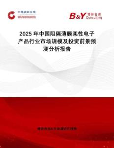 2025年中國阻隔薄膜柔性電子產品行業市場規模及投資前景預測分析報告