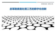 皮革鞋表面處理工藝的數字化創新最佳分析