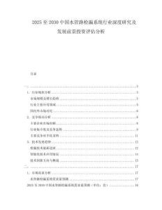 2025至2030中國水管路檢漏系統(tǒng)行業(yè)深度研究及發(fā)展前景投資評估分析