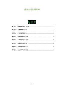 盛寅非遺傳播策略-洞察及研究