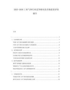 2025-2030工業(yè)氣體行業(yè)競(jìng)爭(zhēng)格局及市場(chǎng)前景評(píng)估報(bào)告