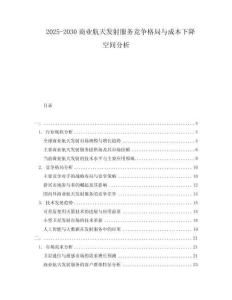 2025-2030商業航天發射服務競爭格局與成本下降空間分析