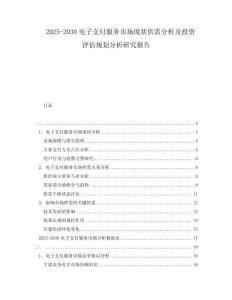 2025-2030電子支付服務市場現狀供需分析及投資評估規劃分析研究報告