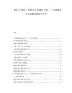 2025至2030中國碳捕獲和儲存（CCS）行業調研及市場前景預測評估報告