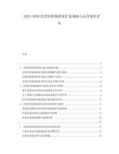 2025-2030民營醫院集團化擴張戰略與運營效率評估