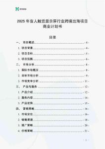 2025年盲人觸覺顯示屏行業跨境出海項目商業計劃書