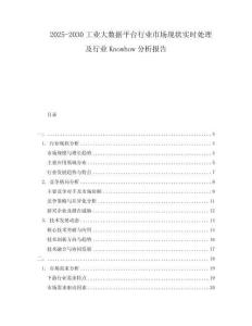 2025-2030工業(yè)大數(shù)據(jù)平臺行業(yè)市場現(xiàn)狀實(shí)時(shí)處理及行業(yè)Knowhow分析報(bào)告