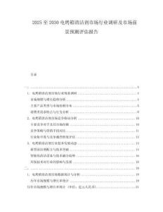 2025至2030電烤箱清潔劑市場行業調研及市場前景預測評估報告
