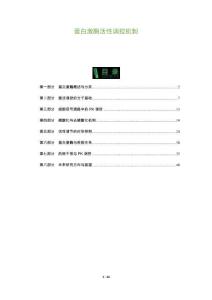 蛋白激酶活性調控機制-洞察及研究