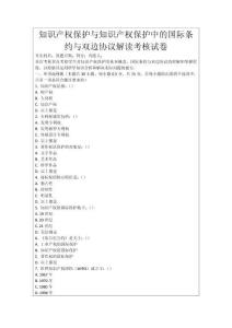 知識(shí)產(chǎn)權(quán)保護(hù)與知識(shí)產(chǎn)權(quán)保護(hù)中的國際條約與雙邊協(xié)議解讀考核試卷