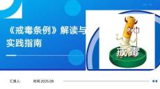 《戒毒條例》2017修訂解讀與實(shí)踐指南