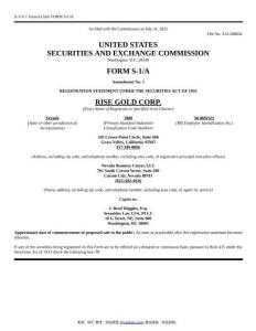 【SEC-2025行業(yè)研究報告】Form S-1 A Rise Gold Corp.
