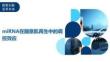 miRNA在随意肌再生中的调控效应-洞察及研究
