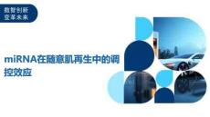 miRNA在随意肌再生中的调控效应-洞察及研究