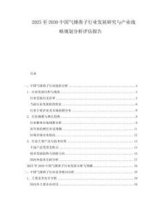 2025至2030中國氣錘鑿子行業(yè)發(fā)展研究與產(chǎn)業(yè)戰(zhàn)略規(guī)劃分析評估報告