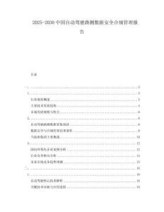2025-2030中國自動駕駛路測數據安全合規管理報告