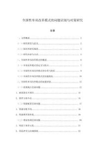全國性單項改革模式的問題識別與對策研究