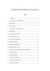離層儲水動壓帶結構演變與災害風險評估