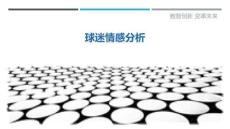 球迷情感分析最佳分析