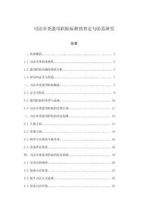 司法審查濫用職權標準的界定與防范研究