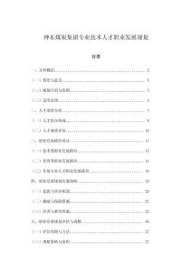 神東煤炭集團(tuán)專業(yè)技術(shù)人才職業(yè)發(fā)展規(guī)劃