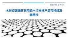 木材資源循環(huán)利用的木竹材林產(chǎn)品可持續(xù)發(fā)展路徑最佳分析