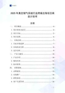 2025年真空儲(chǔ)氣系統(tǒng)行業(yè)跨境出海項(xiàng)目商業(yè)計(jì)劃書