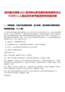 貴州國企招聘2025貴州鐘山野馬寨熱電有限責(zé)任公司招聘11人筆試歷年參考題庫附帶答案詳解