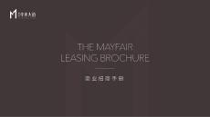 德高信中央大道商業(yè)招商手冊for客戶 -房地產(chǎn)-2024