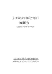 寶地礦業(yè)新疆寶地礦業(yè)股份有限公司審閱報告