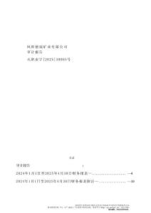 德力股份：德瑞礦業審計報告