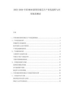 2025-2030中國MRAM新型存儲(chǔ)芯片產(chǎn)業(yè)化進(jìn)程與應(yīng)用場景測(cè)試