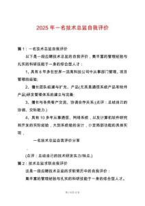 2025年一名技術(shù)總監(jiān)自我評價