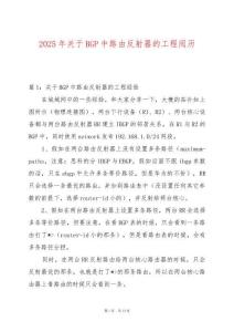 2025年關(guān)于BGP中路由反射器的工程閱歷