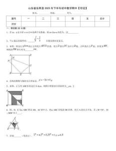 山東省東阿縣2025年下半年初中數學期中【奪冠】
