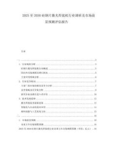 2025至2030硅鋼片激光焊接機行業調研及市場前景預測評估報告