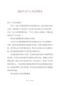 2025年關(guān)于公司業(yè)績報告