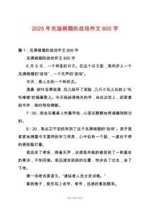 2025年充溢硝煙的戰場作文800字