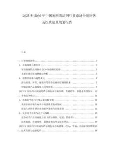 2025至2030年中國廁所清潔劑行業市場全景評估及投資前景規劃報告