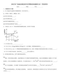 2025年廣東省龍湖區初中化學期末測試題庫大全（奪冠系列）