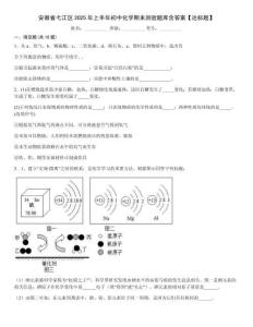 安徽省弋江區(qū)2025年上半年初中化學期末測驗題庫含答案【達標題】