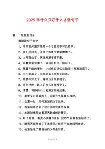 2025年什么只好什么才造句子