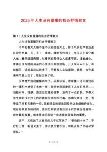 2025年人生沒有重播的機(jī)會(huì)抒情散文