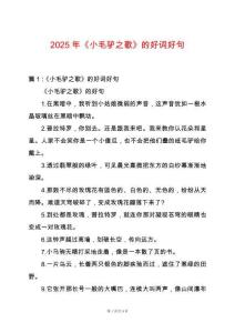 2025年《小毛驢之歌》的好詞好句