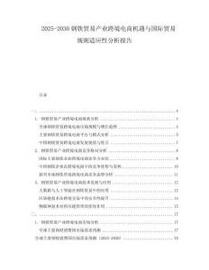 2025-2030鋼鐵貿(mào)易產(chǎn)業(yè)跨境電商機遇與國際貿(mào)易規(guī)則適應性分析報告