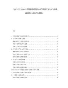 2025至2030中國搪玻璃管行業(yè)發(fā)展研究與產(chǎn)業(yè)戰(zhàn)略規(guī)劃分析評(píng)估報(bào)告