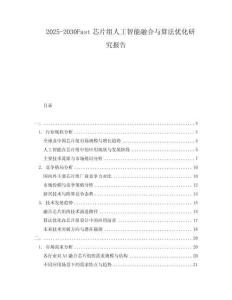 2025-2030Fast芯片組人工智能融合與算法優(yōu)化研究報(bào)告